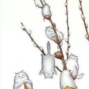 Meet your Posher, Nina